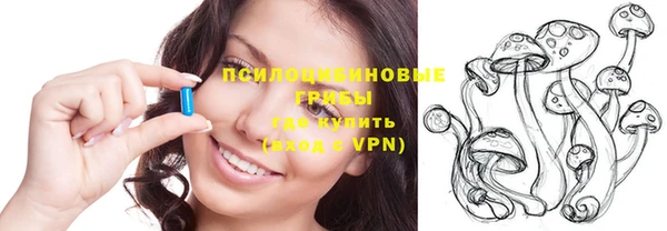 соль курить ск Гатчина