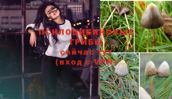 круглые Кукмор