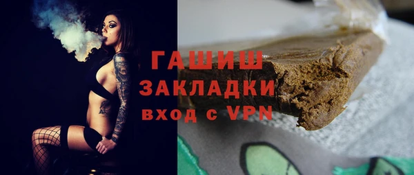 стаф Губаха