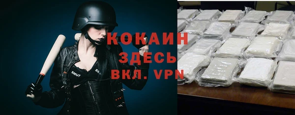 стаф Губаха