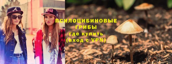 соль курить ск Гатчина